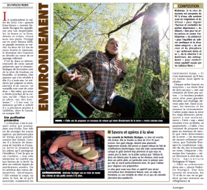 articledomaine des cazottes sève de bouleau